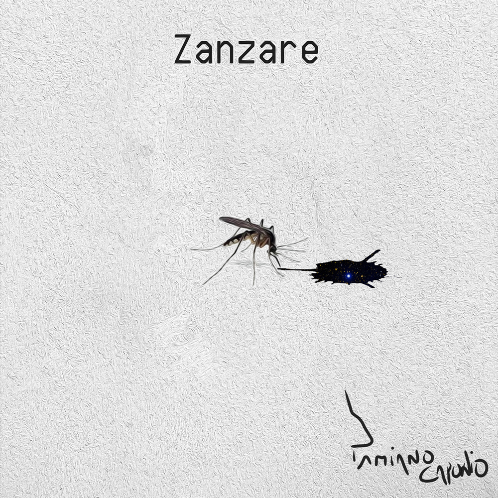 Zanzare