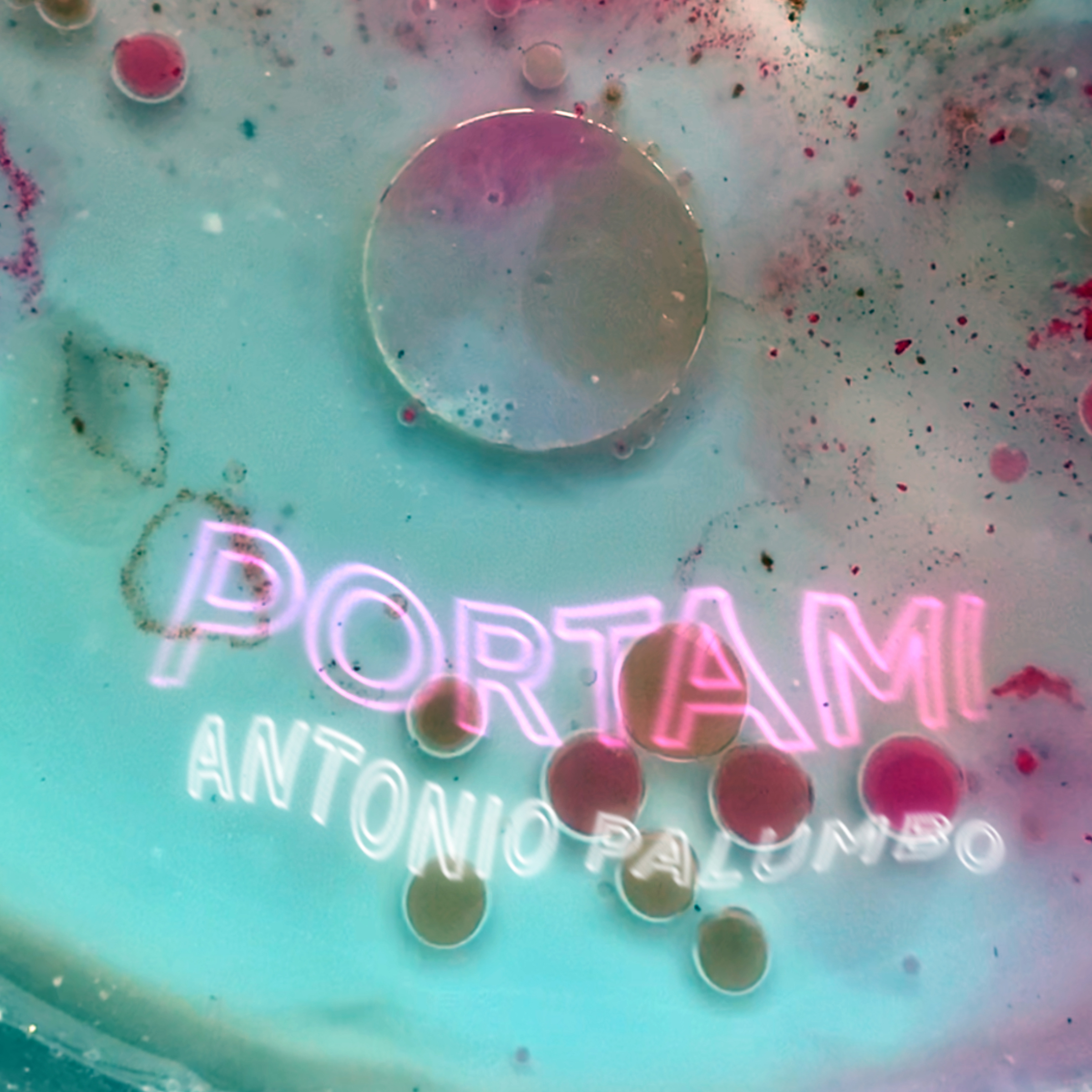 Cover Portami (Antonio Palumbo)